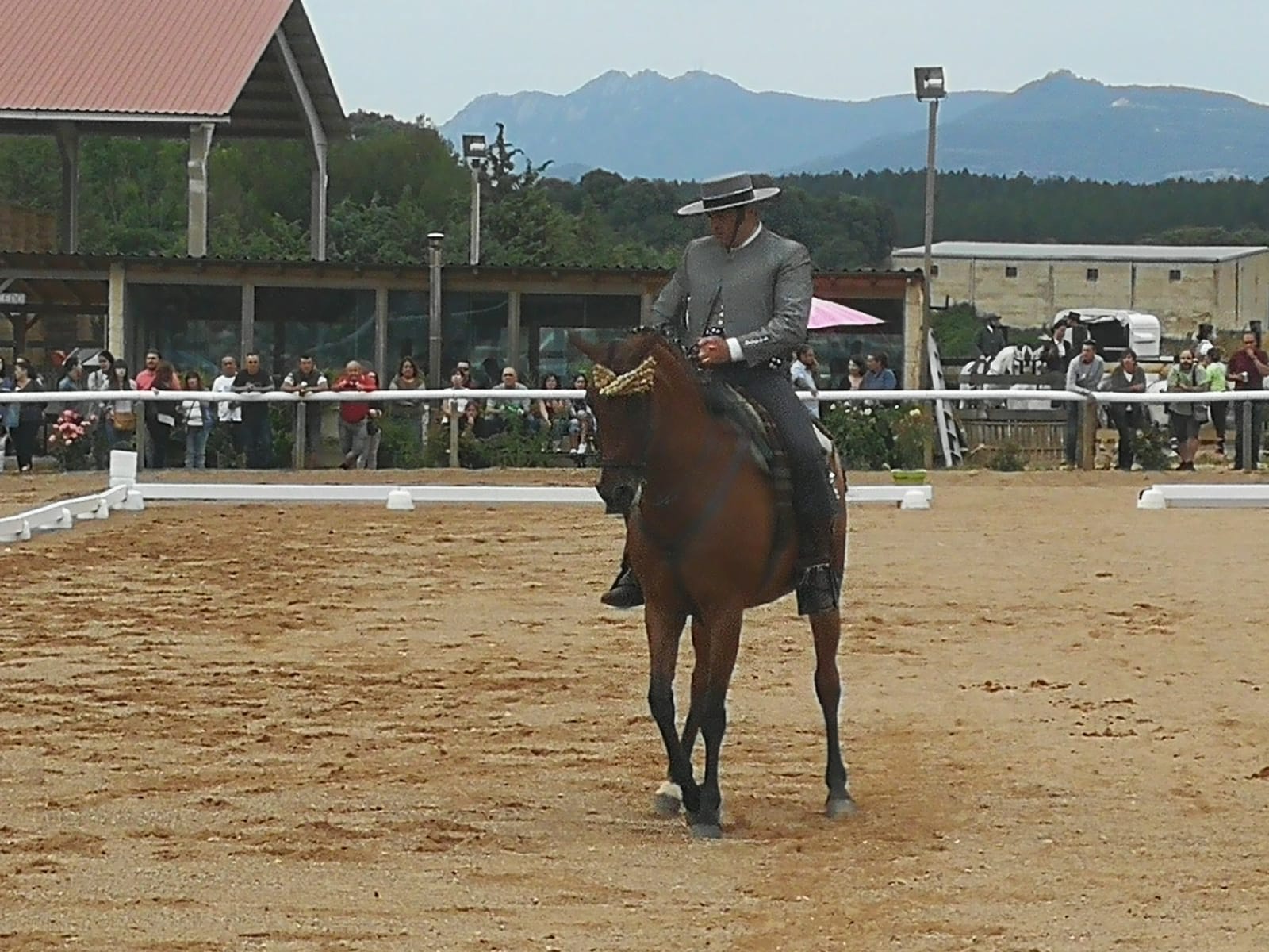 Final del Campeonato Navarro de Doma Vaquera 2018 en Acedo